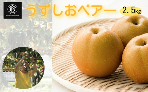【 予約受付中・2026年8月中旬頃より順次発送 】鳴門産梨 うずしおペアー 2.5kg　フルーツ 果物 梨 ナシ 旬の梨 秋の梨 旬のフルーツ 秋のフルーツ 鳴門の梨 徳島県産 フルーツ 果物  秋の果物 和梨 幸水 豊水 新高