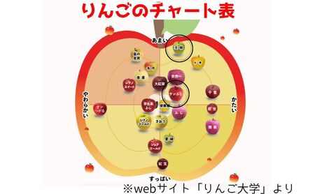 りんご 【 2月発送 】 家庭用 サンふじ ・ 王林 詰め合わせ 約 10kg 【 弘前市産 青森りんご 】