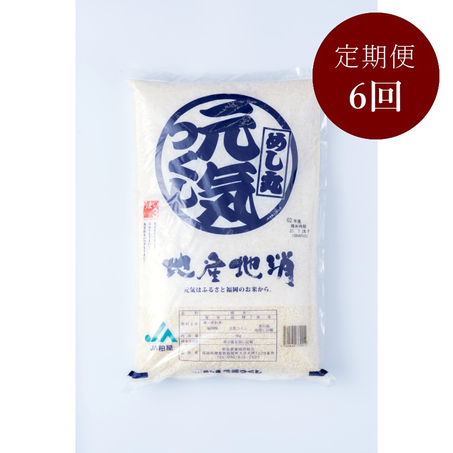 ＜岩田屋本店･南国フルーツ＞福岡のお米「元気つくし」5kg 6ヶ月定期便