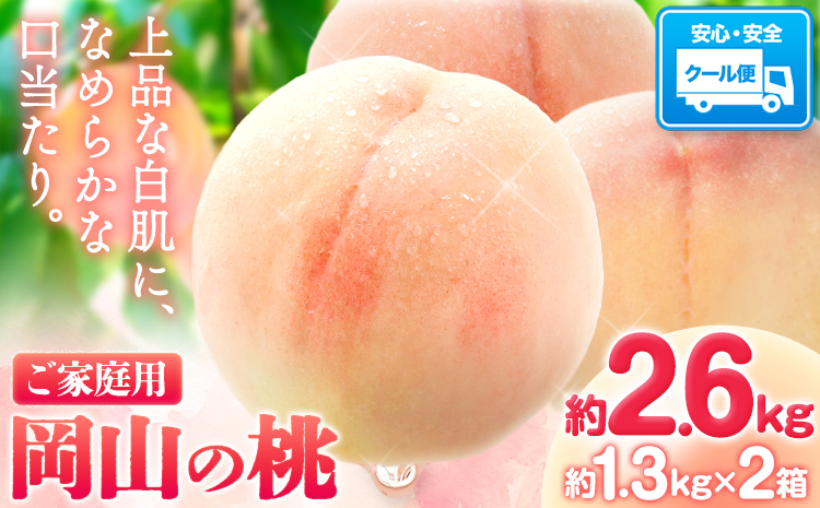 【先行予約】桃 岡山の桃 約2.6kg(約1.3kg×2箱)《2026年6月下旬-9月上旬頃出荷》 ご家庭用 訳あり 白桃 岡山 はくとう スイーツ フルーツ 果物 デザート 旬 モモ もも 先行予約 送料無料 果物 岡山県 笠岡市 清水白桃 白鳳 白麗 クール便---kasaoka_zsy_150_26---