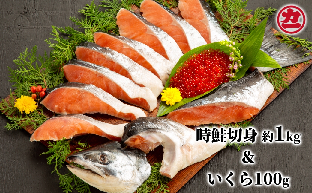 
18-72 塩時鮭姿切身&ますいくら醤油漬セット
