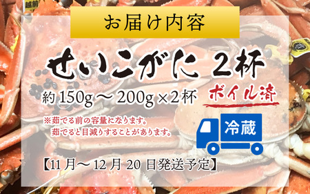 【先行予約】越前港より直送！ せいこがに（約150～200g）2杯※発送前に在宅確認の電話連絡をいたします!【11月～12月発送予定】 セイコガニ せいこ蟹 セコガニ 雌 ずわいがに せいこがに かに