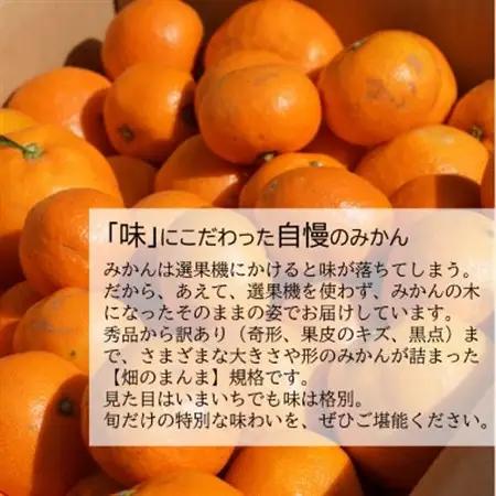 【発送月固定定期便】みかん好きのためのみかん定期便(ゆら早生みかん・完熟みかん)　各5kg　全2回【配送不可地域：離島・北海道・沖縄県】【4052463】