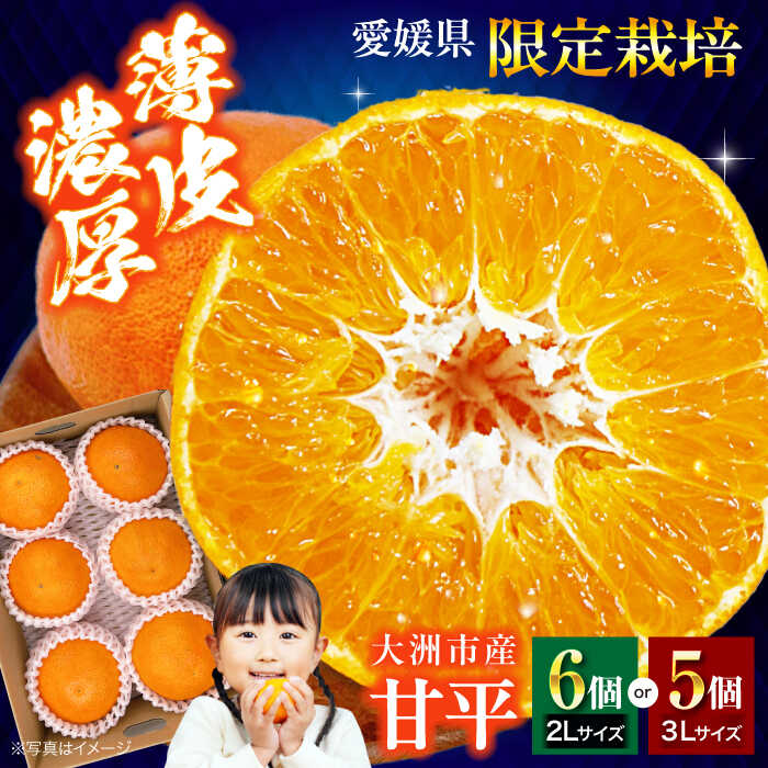 【ふるさと納税】【先行予約】【2026年2月上旬から順次発送】「甘平」5〜6個　 | 人気 おすすめ ランキング おいしい 甘い みかん 柑橘 愛媛みかん 果物 フルーツ 大洲市/株式会社フジ・アグリフーズ[AGBA005] 10000 10000円 以上