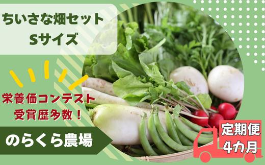 【先行受付・2025年発送】定期便4カ月　有機野菜ちいさな畑セット（Sサイズ　１～２人前）（NK-T520）