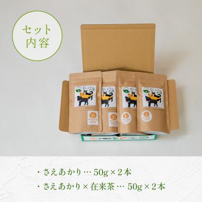 ふるさと納税 南さつま市 【鹿児島県産緑茶】ましょうのお茶「さえあかり」「さえあかり×在来茶」4本セット 計200g |  | 03