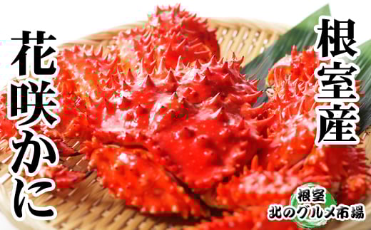 A-76029 【北海道根室産】花咲かに500g～650g×2尾
