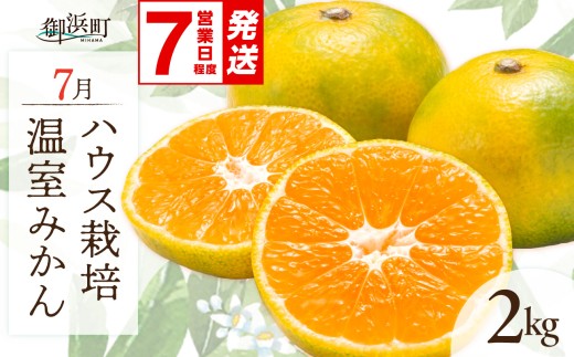 〈 ご入金確認から7営業日程度で発送！ 〉【お中元・のし可】7月の御浜柑橘 温室みかん 2キロ【夏ギフト お中元ギフト のし対応可 熨斗 ギフト対応可 期間限定 果物 フルーツ みかん 温室みかん 2kg 三重県 御浜町】