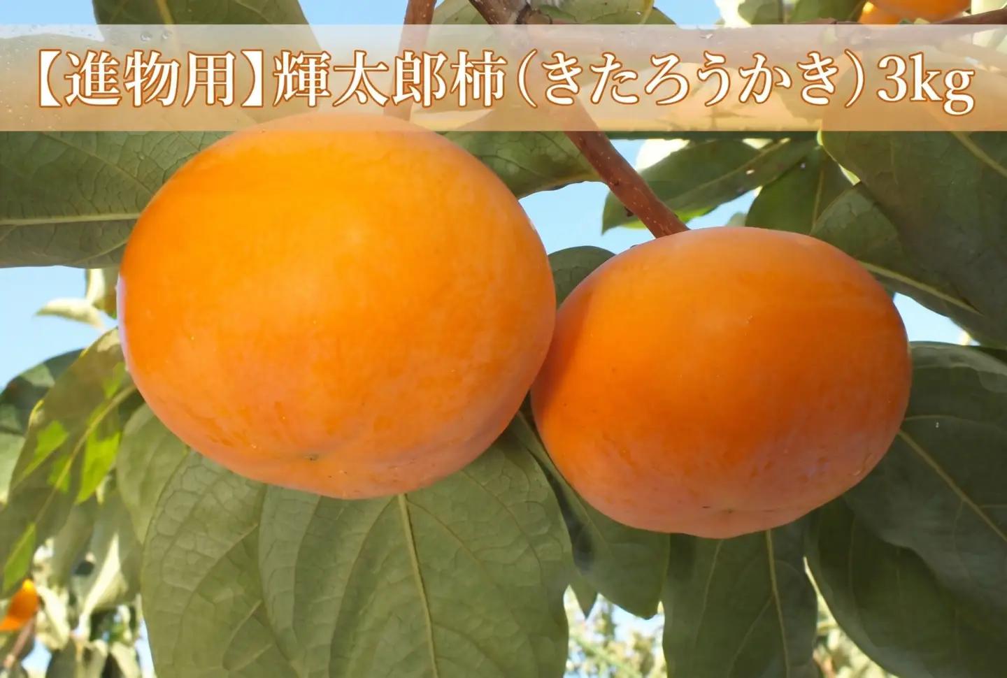 【進物用】輝太郎柿（きたろうかき）3kg 【10月上旬ごろから順次発送】