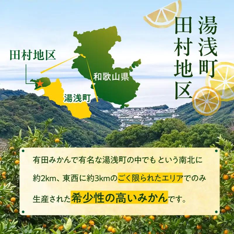 【2026年先行予約】「高級 田村みかん」青秀 約3kg Sサイズ 和歌山県有田産 有田みかん_U6238n
