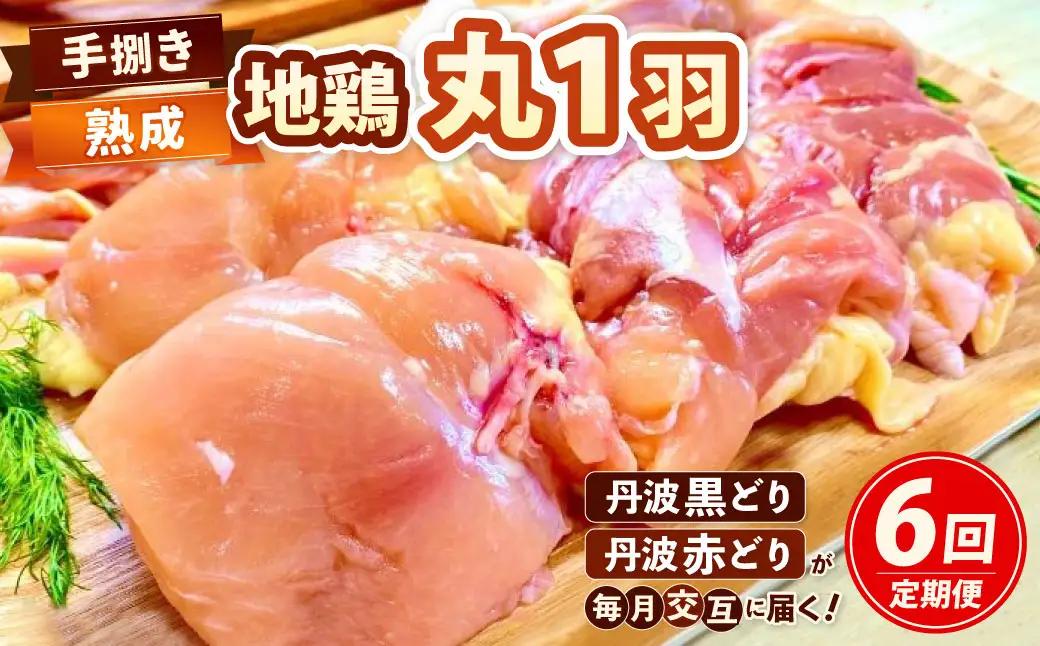 【6回定期便】鶏肉 地鶏丹波黒どり・丹波赤どり 訳あり鶏肉