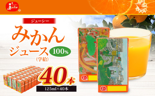 【4回定期便】 ジューシー みかんジュース 100％ （学給） 125ml×40本 みかん ミカン 蜜柑 ジュース オレンジジュース 飲料 紙パック 国産 熊本県