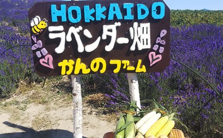 【令和8年産】先行予約 かんのファーム 産 とうもろこし 食べ比べ 20本 セット ( じゃがいも 付 ) 北海道 上富良野町 とうもろこし トウモロコシ セット じゃがいも ジャガイモ 野菜 芋 