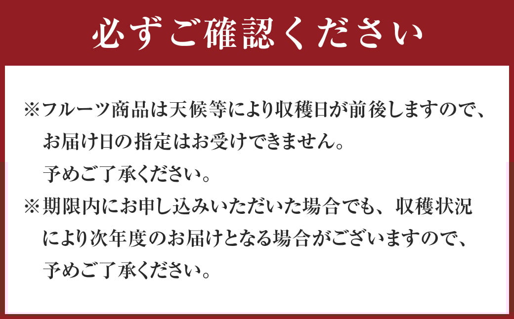 愛媛県産 媛小春 1.5kg（8～13個） みかん 果物 フルーツ 【2026年1月下旬～2月上旬発送予定】（874）