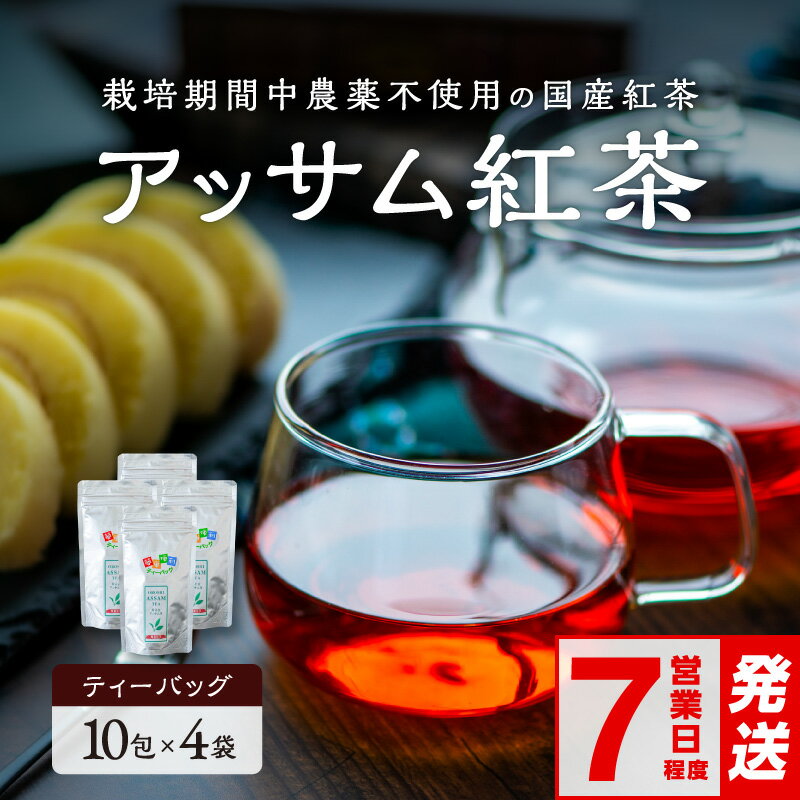 【ふるさと納税】〈 ご入金確認から7営業日程度で発送！ 〉アッサムTea21 紅茶 アッサムティー ティーバッグ 10袋×4個 国産 │ 紅茶 茶葉 和紅茶 アッサム アッサム紅茶 アッサム茶 アッサムティー 国産 国産紅茶 ティーバッグ 栽培期間内農薬不使用 あっさり
