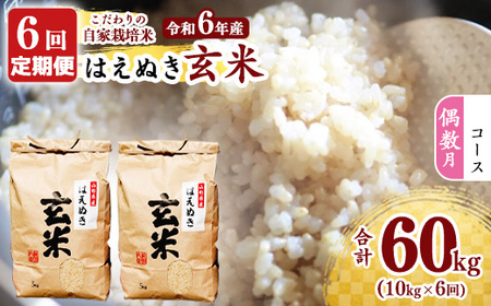 【令和6年産 先行予約】《6回定期便：偶数月コース》 はえぬき 玄米 合計60kg （10kg（5kg×2袋）× 6回） 山形県産 【 減農薬栽培 新米 】 072-C-JF017-2024-偶数月