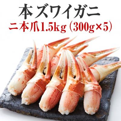 ふるさと納税 陸前高田市 本ズワイガニ 二本爪 1.5kg かに カニ 蟹 爪肉 冷凍 小分け 料理 寿司 海鮮 年末年始 | 