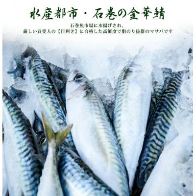 ふるさと納税 石巻市 三陸産　金華鯖寿司 冷凍 金華さば サバ 鯖 にぎり 握り寿司 お寿司 寿司 |  | 01