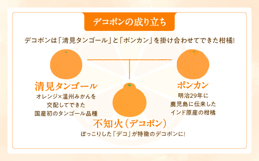 ZG257.【昨年も大人気】デコポン（1.5kg程度）／2027年2月～3月配送