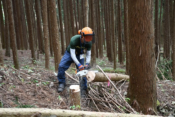 実際にチェーンソーを使います