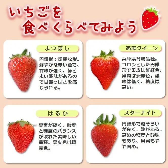 《2027年産先行予約》「西脇市産 旬のいちご2品種食べ比べセット」（1箱２パック）【佐藤果実工房 全国いちご選手権銀賞受賞農園 TVで紹介!】令和９年２月上旬配送分（sato-T-2-2-early