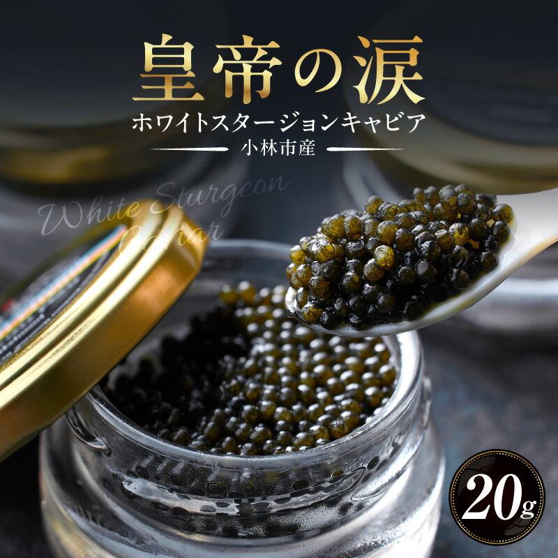【ふるさと納税】ホワイトスタージョンキャビア 20g 皇帝の涙 国産 チョウザメ 魚卵 宮崎県