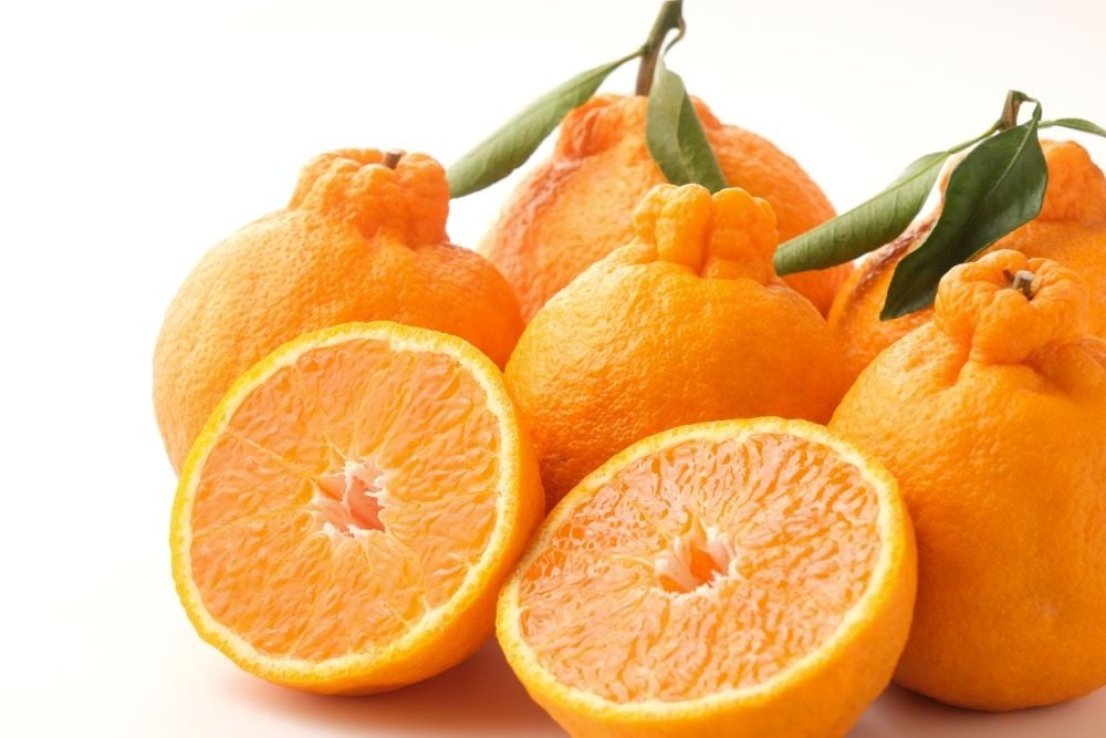 
            【 先行予約 】 不知火 約 2kg | 柑橘 みかん フルーツ 和製 家庭用 果物 熊本県産 熊本県 熊本 くまもと 和水町 なごみまち なごみ ミカン 柑橘類 果物 フルーツ 
          