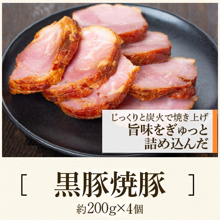 【B02104】ふるさと2選B （焼豚 約200ｇ×4個、 餃子 12個入×10パック）_イメージ2