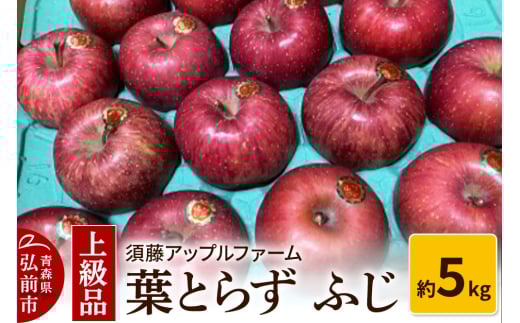 【25年12月発送】りんご 上級品 葉とらず ふじ 約5kg