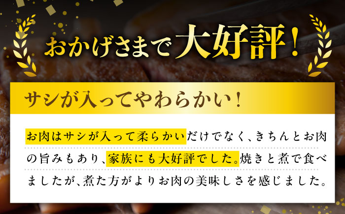 【全3回定期便】やみつき五島牛薄切り 600g【肉のマルヒサ】 [PCV013]