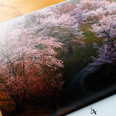 ふるさと納税 美瑛町 写真家 中西敏貴 2026年壁掛けカレンダー 「FARMLANDSCAPE」 |  | 01