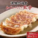 【ふるさと納税】あぐー 100% 餃子 60個 ( 20個 × 3パック ) セット あぐー豚 アグー豚 アグー 豚肉 沖縄県産 豚 ぎょうざ ギョウザ 冷凍餃子 冷凍 沖縄 特産品 お土産 沖縄料理 おつまみ おかず おやつ 焼き餃子 お取り寄せ 沖縄県 糸満市 送料無料