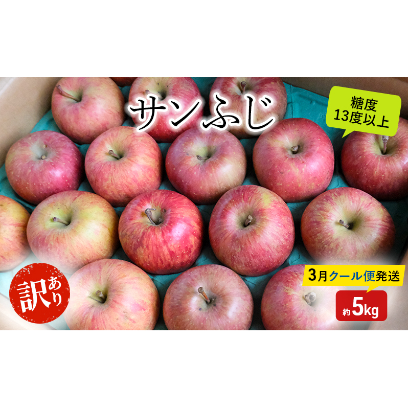 りんご 【3月クール便発送】 糖度13度以上 訳あり 家庭用 サンふじ 約 5kg 【 弘前市産 青森りんご 】果物類 フルーツ 林檎 リンゴ 弘前市 青森県 おやつ デザート