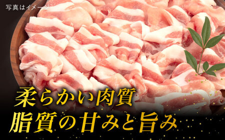 【全12回定期便】糸島 華豚 ロース 肉 スライス しゃぶしゃぶ 用 600g 糸島市 / 糸島ミートデリ工房[ACA328]