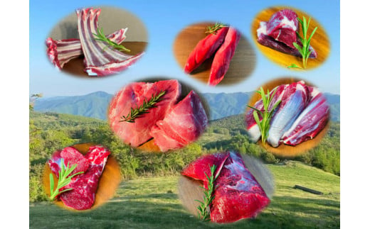 
【ジビエ】大槌産 鹿肉400g｜岩手県 大槌ジビエ いわて iwate 三陸 MOMIJI
