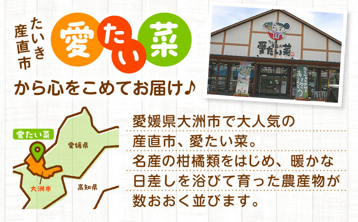 【全6回定期便】産地直送！鮮度抜群！旬を味わう新鮮野菜と果物の詰め合わせセレクションボックス（6種以上）　愛媛県大洲市/たいき産直市愛たい菜 [AGAP016]