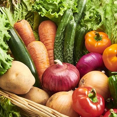 ふるさと納税 御坊市 季節の野菜・果物・特産品お楽しみ詰め合わせセット1 |  | 03