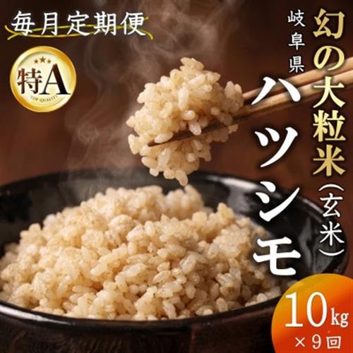 【毎月定期便】岐阜県産ハツシモ(玄米)10kg全9回【配送不可地域：離島】【4056236】