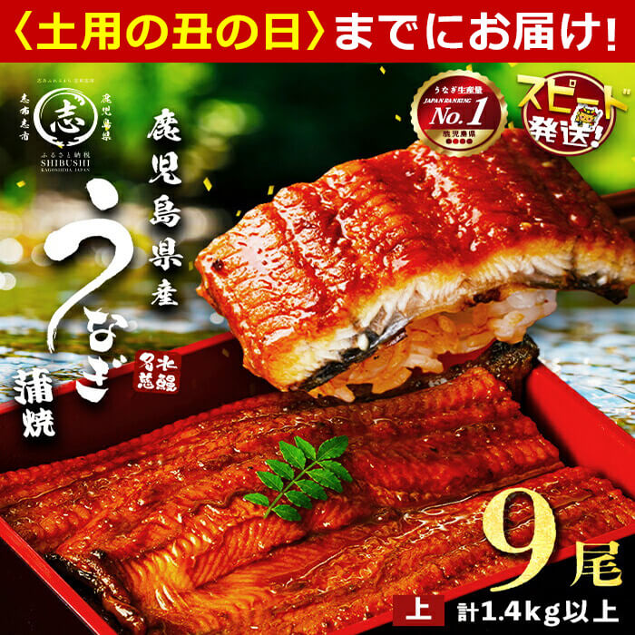 【ふるさと納税】【10営業日以内に発送】うなぎ 養殖日本一！鹿児島県産うなぎ 蒲焼 名水慈鰻上9尾(1尾あたり160g〜190g)＜計1400g(1.4kg)以上＞ うなぎ 鰻 ウナギ 国産 9尾 蒲焼き かばやき 冷凍 うな重 人気 【鹿児島鰻】