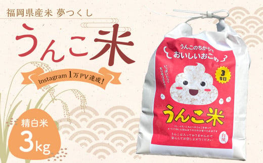 うんこ米 精白米 3kg /  夢つくし 白米 無洗米 米 お米 国産 福岡県産 令和6年産