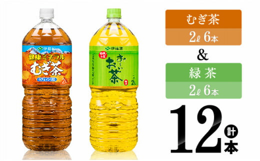 伊藤園 むぎ茶（2L）＆緑茶（2L）(PET）12本 【伊藤園 飲料類 お茶 麦茶 緑茶 PET セット 詰め合わせ 飲みもの】