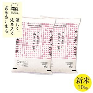 秋田県産 予約受付開始!あきたこまち【令和7年産】白米10kg(5kg×2)《10月中旬より発送》【配送不可地域：離島・沖縄県】【1414472】