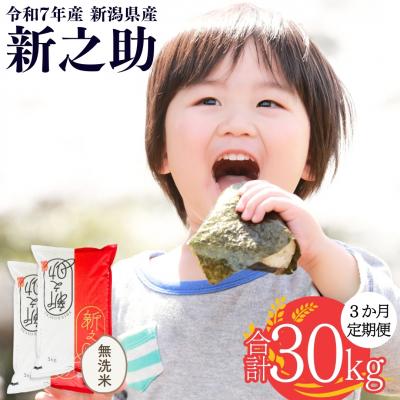 ふるさと納税 三条市 [定期便10kg×3か月] 新潟県産 無洗米 新之助 [株式会社白熊] 【054S002】