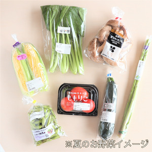 野菜 7種セット 旬の野菜 詰め合わせ おまかせ 新鮮 採れたて 産地直送