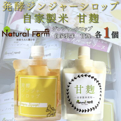 【ふるさと納税】発酵ジンジャーシロップ&甘麹　各1パックセット A2-19【配送不可地域：離島】【1619446】