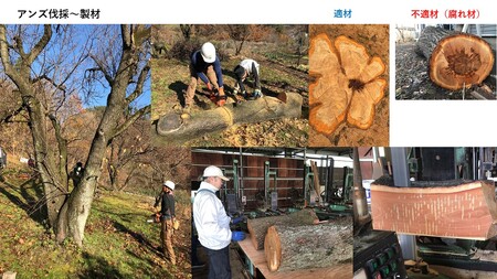 SUMIあんずギター（CONCERT）｜ ギター ギター ギター ギター ギター