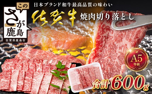 
                  【訳あり】佐賀牛 焼肉 切り落とし 600g 牛肉  黒毛 和牛 ブランド 牛 肉 焼き肉 やきにく D-291
                