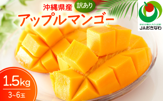 【2027年6月下旬から順次発送・訳あり】JAおきなわ厳選 アップルマンゴー1.5kg(3～6玉)【配送不可地域：離島】