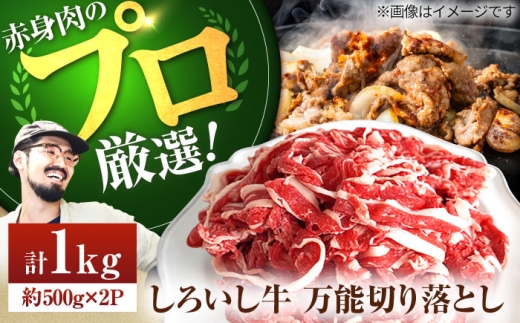 【牧場直送】佐賀県産 しろいし牛 万能 切落し 1kg（500g×2パック）【佐賀セントラル牧場】佐賀県産 牛肉 切り落とし スライス 小分け 国産 牛肉 きりおとし 九州 佐賀県 白石町  白石 [IAH005]