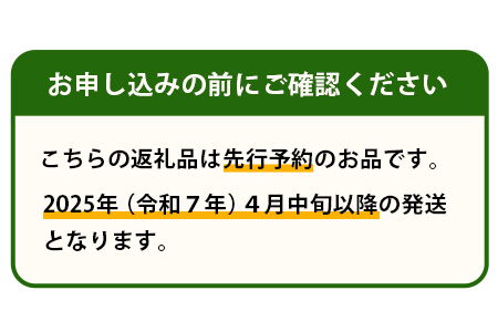 【2025年4月下旬発送開始】【先行予約】熊本県産 ホームランメロン アンデスメロン 食べ比べ 計2玉 約2.5kg以上 メロン フルーツ 果物 083-0625